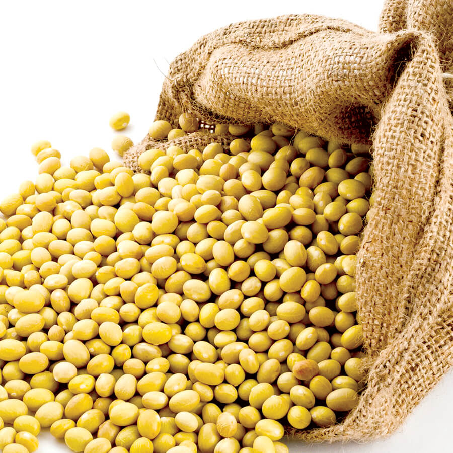 Understanding Non-GMO Soybean: A Health Solution for Men