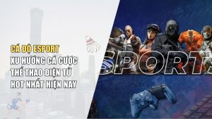 Cá Độ Esport
