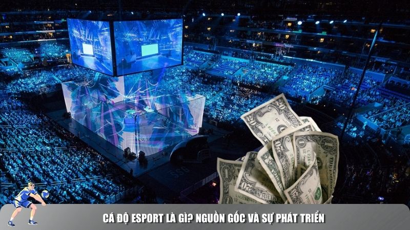 Cá độ Esport là gì? Nguồn gốc và sự phát triển