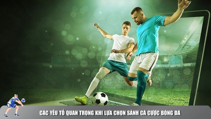 Các yếu tố quan trọng khi lựa chọn sảnh cá cược bóng đá