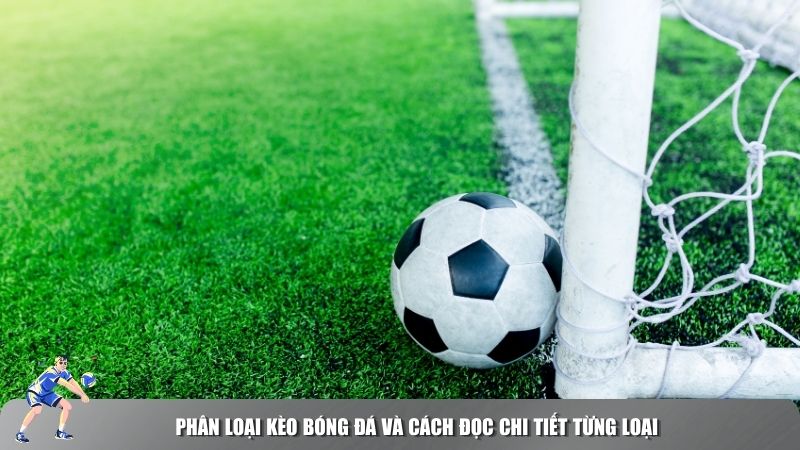 Phân loại kèo bóng đá và cách đọc chi tiết từng loại