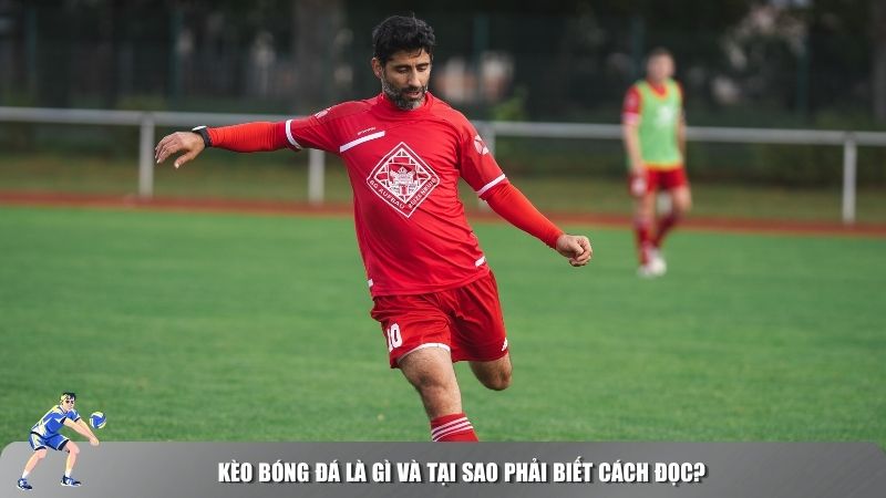 Mẹo đọc kèo bóng đá như tay chơi