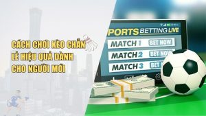Cách Đọc Và Đặt Kèo Chẵn Lẻ Chuẩn Xác