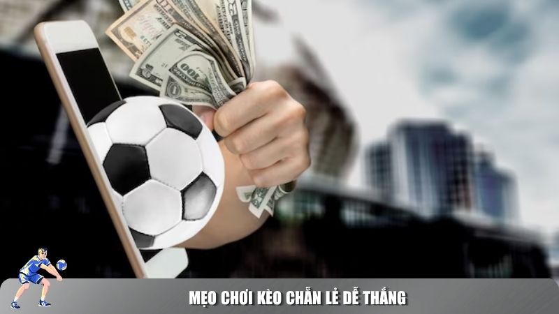 Những kinh nghiệm khi đặt cược kèo chẵn lẻ