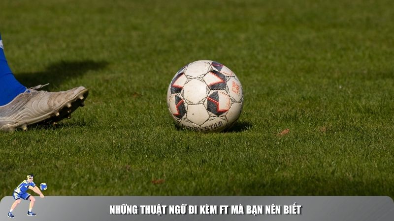Những thuật ngữ đi kèm FT mà bạn nên biết