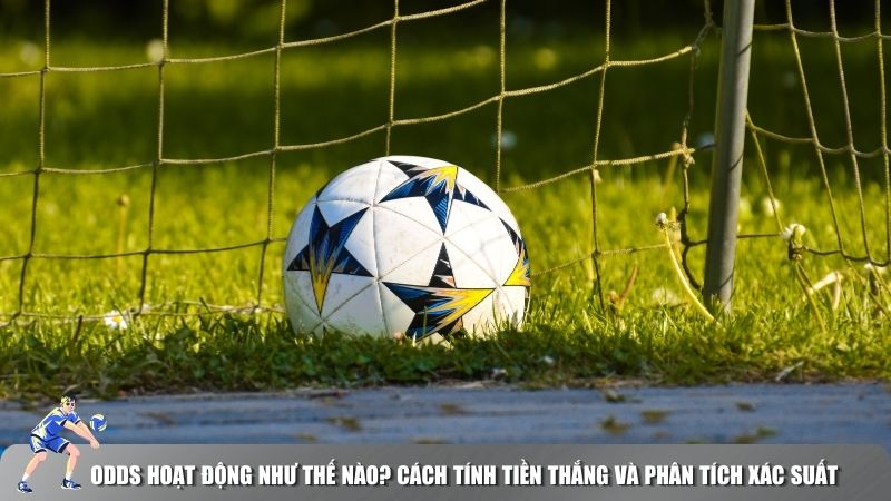 Phương thức hoạt động của Odds