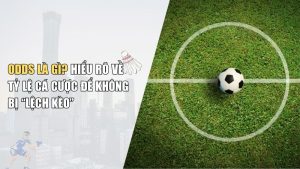 Odds Là Gì Trong Cá Cược Thể Thao? Giải thích chi tiết