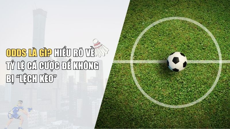 Odds Là Gì Trong Cá Cược Thể Thao? Giải thích chi tiết