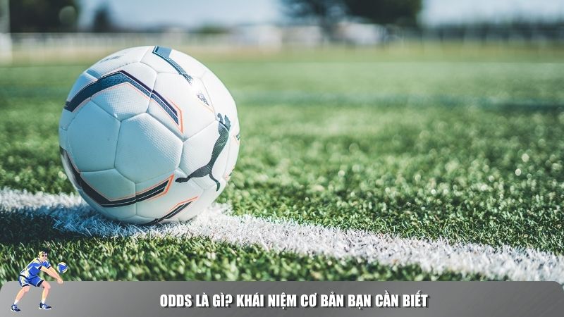 Khái niệm cơ bản odds là gì bạn cần biết