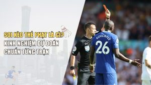 Soi Kèo Thẻ Phạt