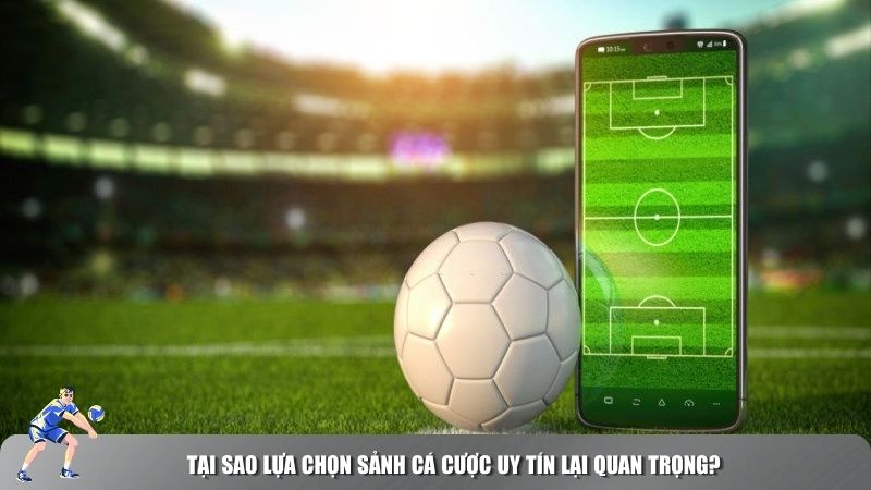 Tại sao lựa chọn sảnh cá cược uy tín lại quan trọng?