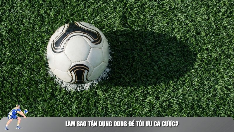 Tận dụng odds để tối ưu cá cược