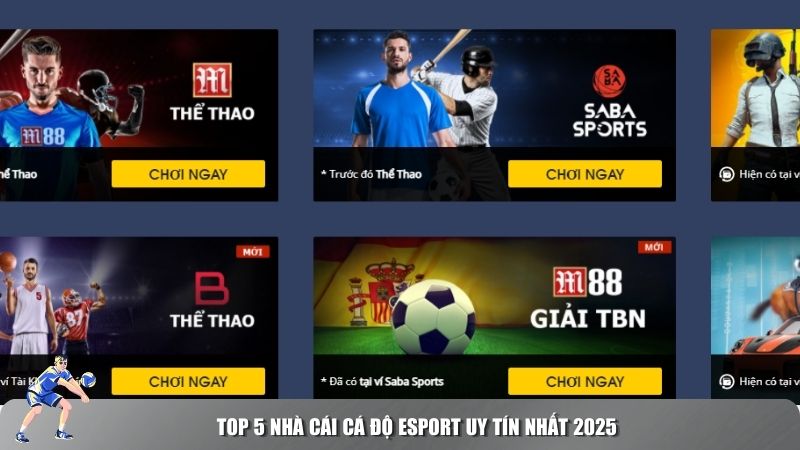 Top 5 nhà cái cá độ Esport uy tín nhất 2025