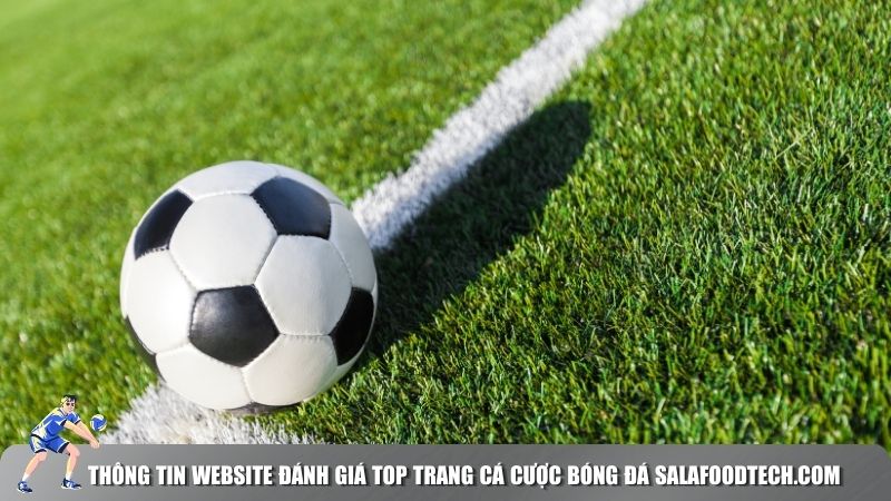 Thông tin website đánh giá top Trang cá cược bóng đá salafoodtech.com